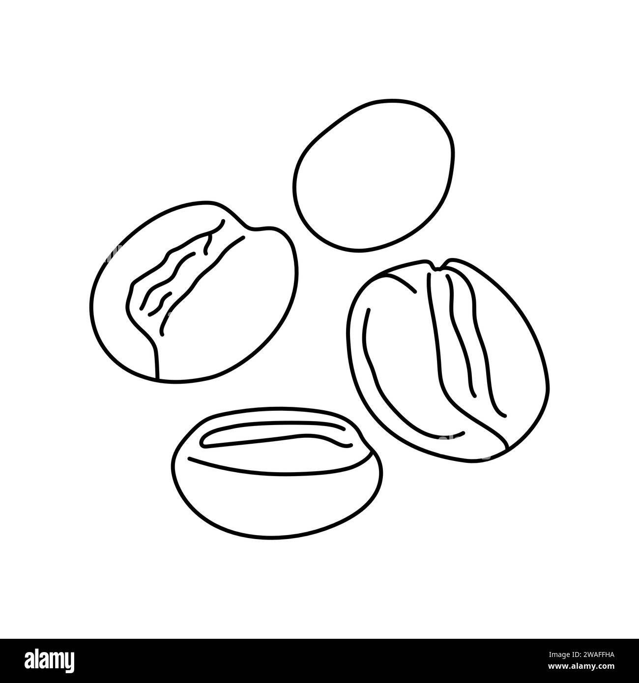 Handgezeichnete Kaffeebohnen: Cappuccino, Mokka, Espresso, Latte Color Element. Robusta, arabica. Cartoon unverarbeitete Lebensmittel. Isolierte Vektorillustratio Stock Vektor