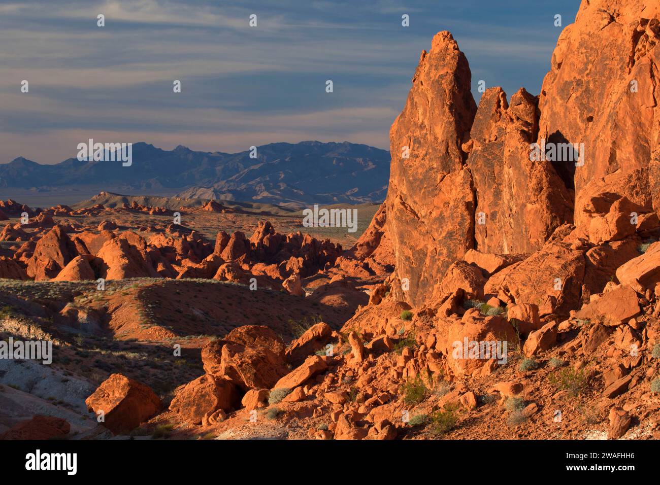 Rote Felsen entlang Fire Wave Trail, Valley of Fire State Park, Nevada Stockfoto