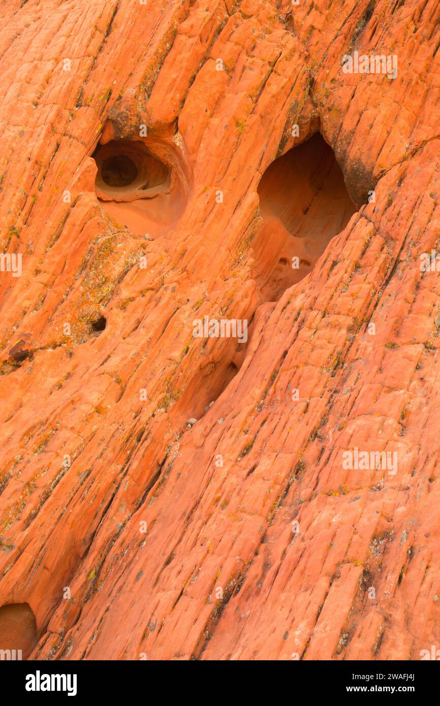 Red Rocks, Gold Butte National Monument, Nevada Stockfoto