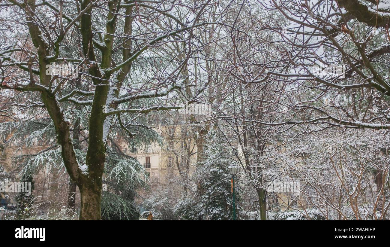 Paris, Frankreich, 2021. Schnee fällt auf die Bäume auf einem Platz, mit typischen Pariser Gebäuden im Hintergrund Stockfoto