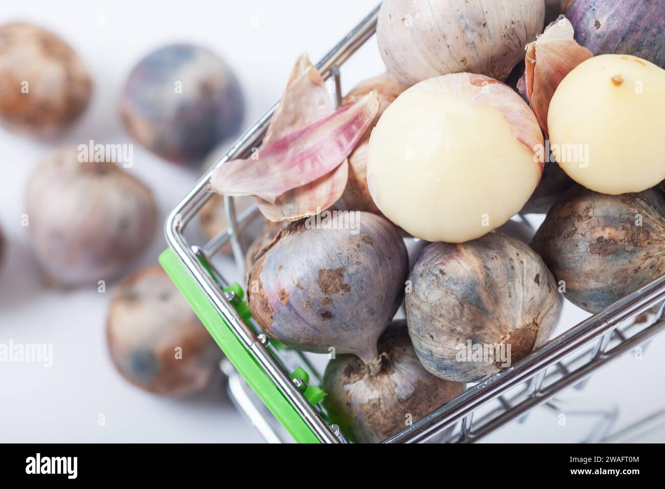 Thailand Bio Knoblauch Ton gesunde Lebensmittel Zutat rustikaler weißer Hintergrund Stockfoto