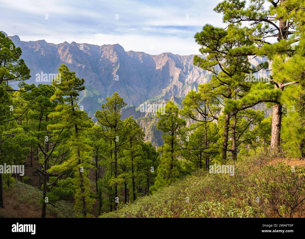 Blick vom Mirador de la Cumbrecita im Nationalpark Caldera de Taburiente auf La Palma, Kanarische Inseln, Spanien. Stockfoto