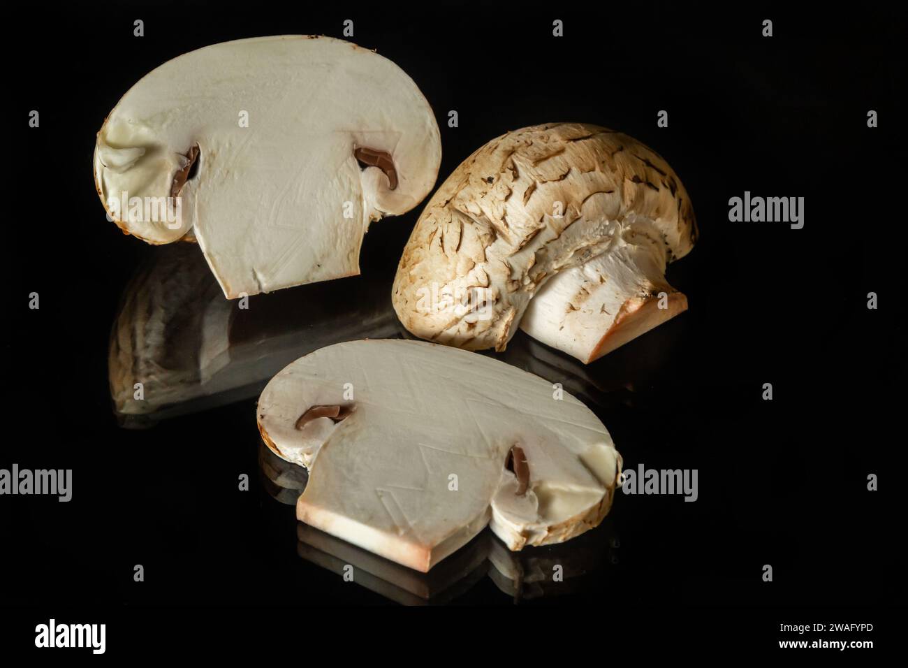 Champignons auf einer schwarzen Spiegelfläche isoliert auf schwarzem Hintergrund. Stockfoto
