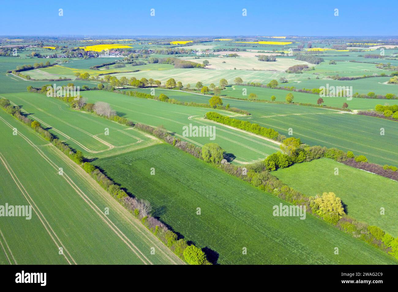 Blick aus der Vogelperspektive über ländliche Bocage-Landschaft mit Feldern und Weiden, Flickenteppich von Hecken und Hecken, Schleswig-Holstein, Deutschland Stockfoto
