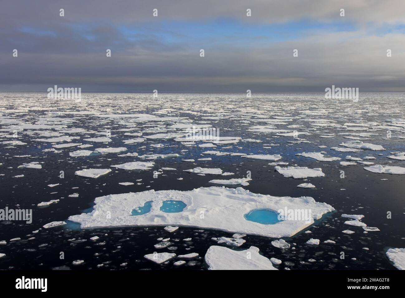 Blick aus der Vogelperspektive über Meereis / Treibeis / Eisschollen mit Schmelzteichen mit Süßwasser im Arktischen Ozean, Nordaustlandet, Spitzbergen Stockfoto