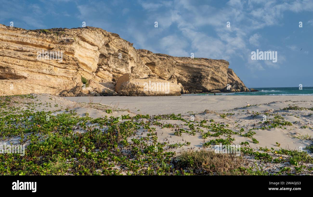 Taqah, salalah – 12. Dezember 2023: BLICK auf den Taqah-Strand in salalah, Taqah ist eine Provinz und Küstenstadt in der Provinz Dhofar im Südwesten des Oman Stockfoto