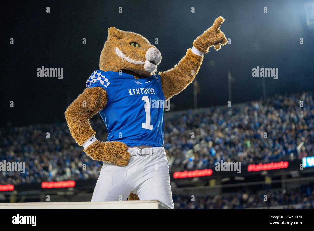 Bowman, die Wildkatze, bereitet sich auf Liegestütze während des Fußballspiels Kentucky gegen Missouri am Samstag, den 14. Oktober 2023, im Kroger Field in Lexington, Ken vor Stockfoto Bowman, die Wildkatze, bereitet sich auf Liegestütze während des Fußballspiels Kentucky gegen Missouri am Samstag, den 14. Oktober 2023, im Kroger Field in Lexington, Ken vor Stockfoto