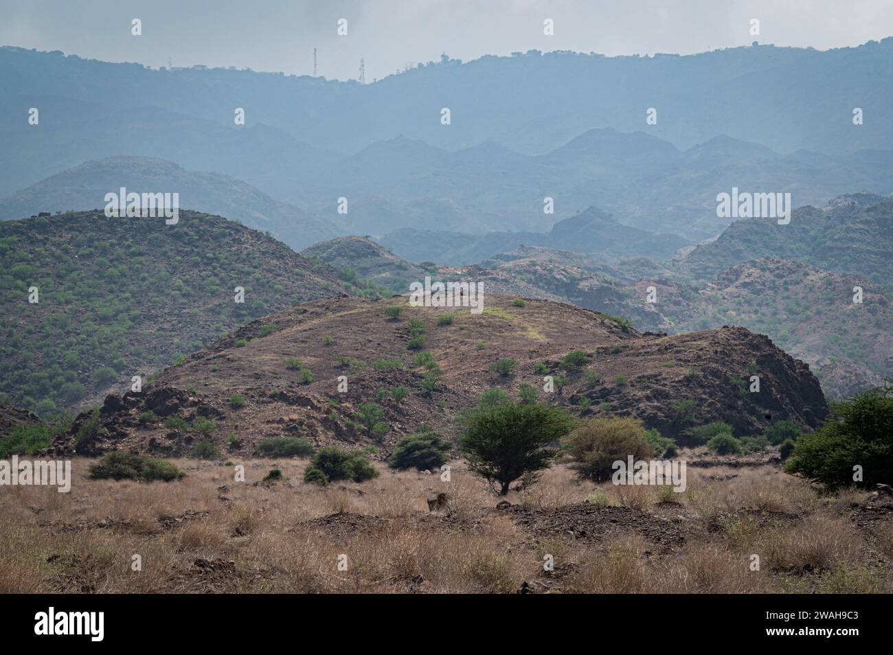 Soldaten der US-Armee von der Task Force Tomahawk, die der Ostafrikanischen Response Force (EARF) zur Unterstützung der Combined Joint Task Force – Horn of Africa (CJTF-HOA) zugewiesen wurden, zerlegen ihre Gewehre während des Langstreckentrainings am 23. November 2023 in der Arta Range. Der EARF hat die Aufgabe, rasch auf Krisen auf dem gesamten afrikanischen Kontinent zu reagieren. (Foto der U.S. Air Force von Tech. Sgt. Ridge Shan) Stockfoto
