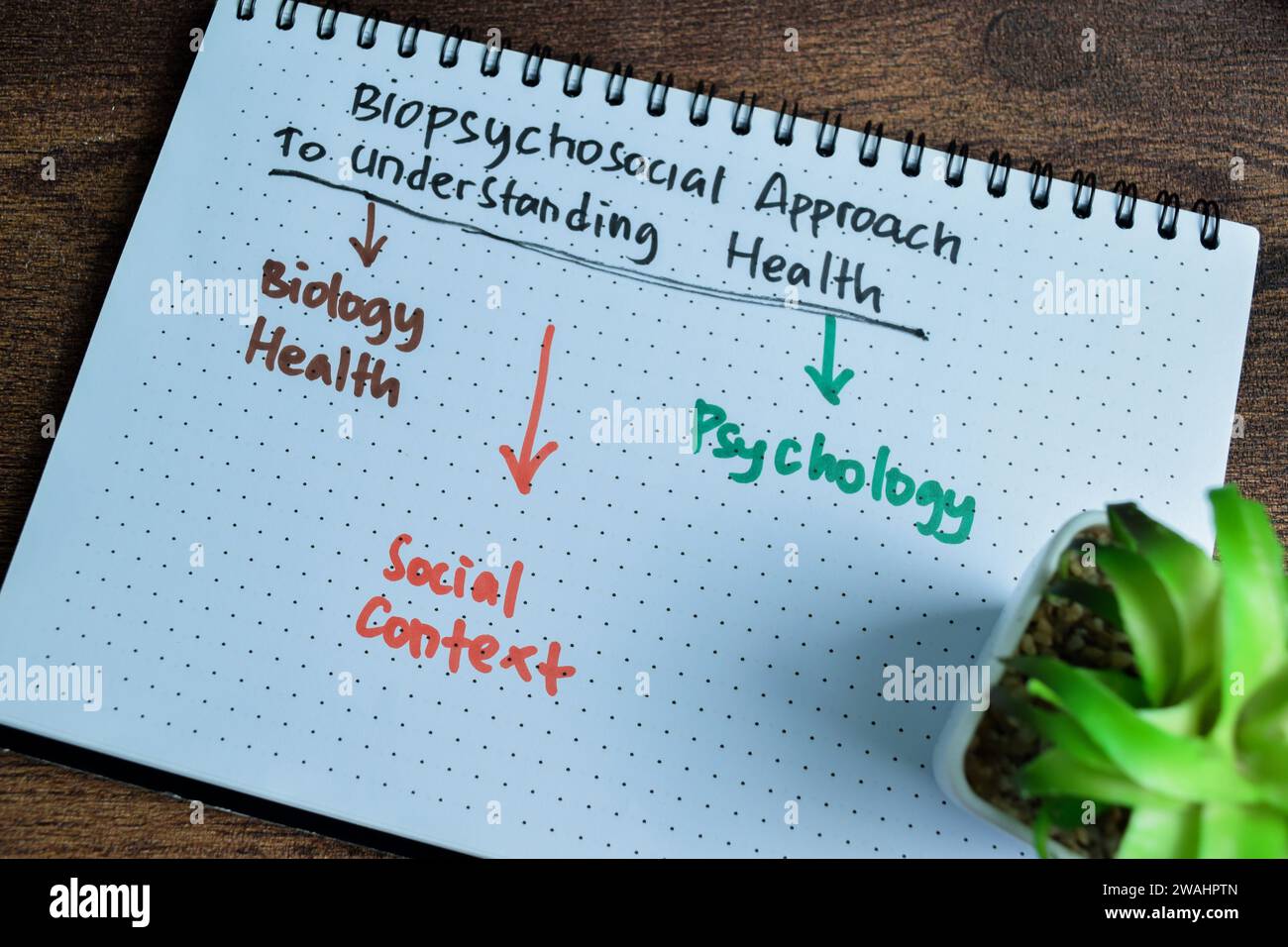 Konzept des biopsychosozialen Ansatzes zum Verständnis von Gesundheit schreiben auf Buch mit Schlüsselwörtern isoliert auf Holztisch. Stockfoto