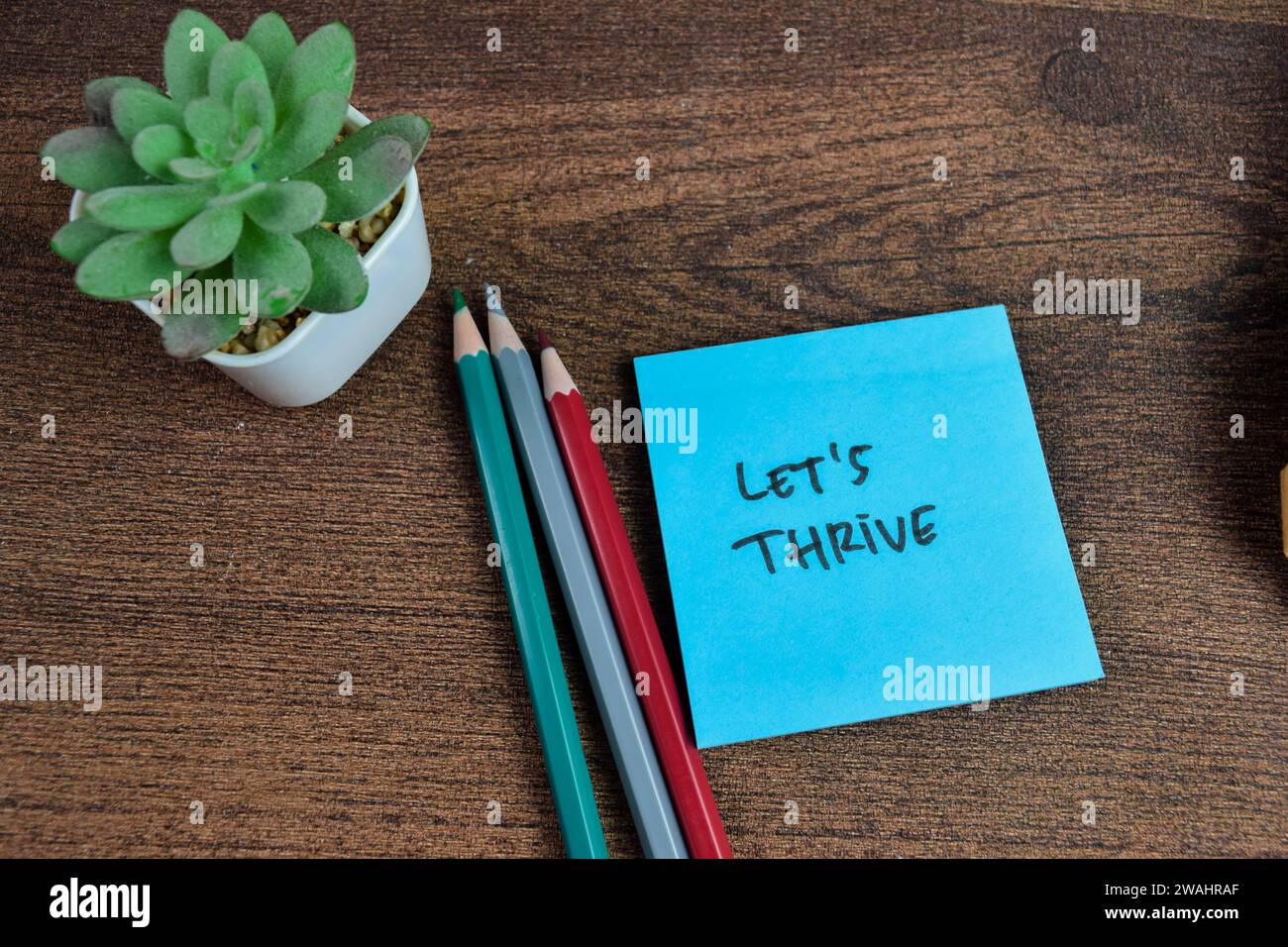 Konzept von Let's Thrive – Schreiben Sie auf Haftnotizen, die auf einem Holztisch isoliert sind. Stockfoto