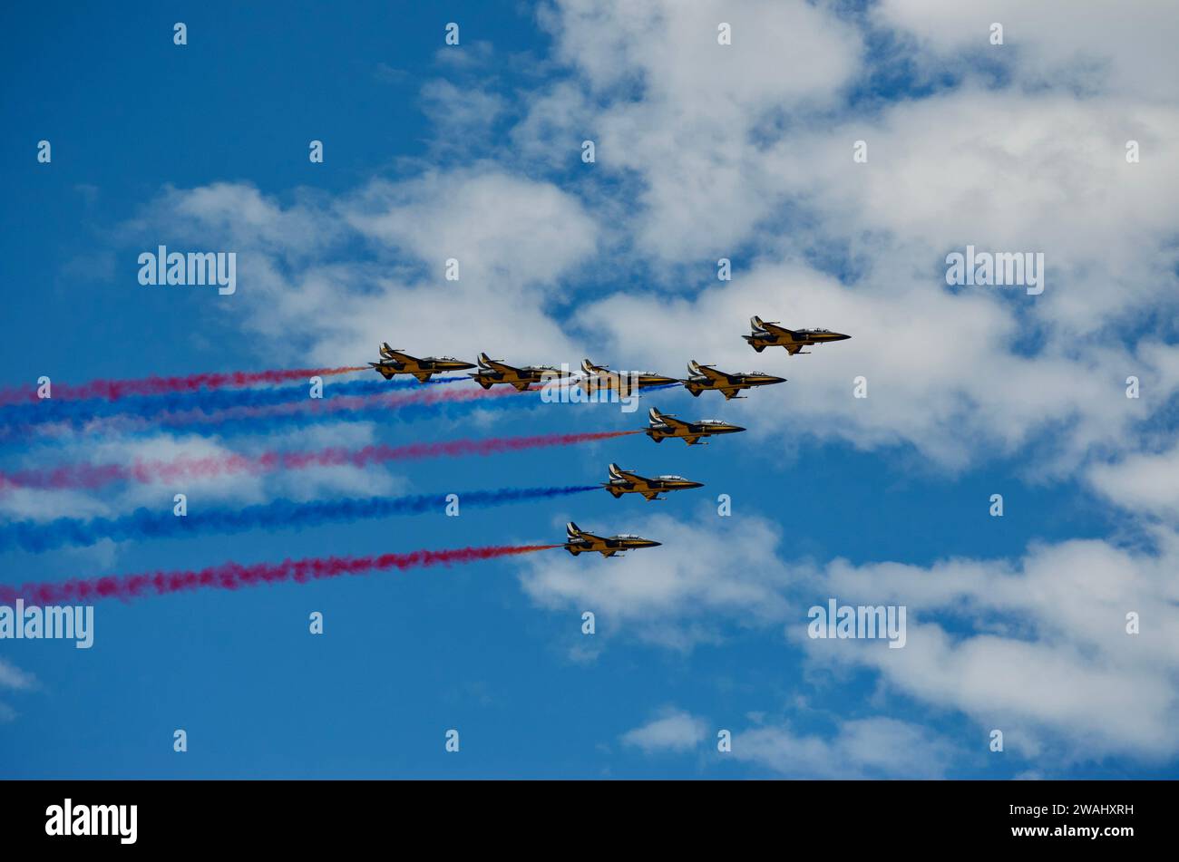 Koreanische Schwarzadler Stockfoto