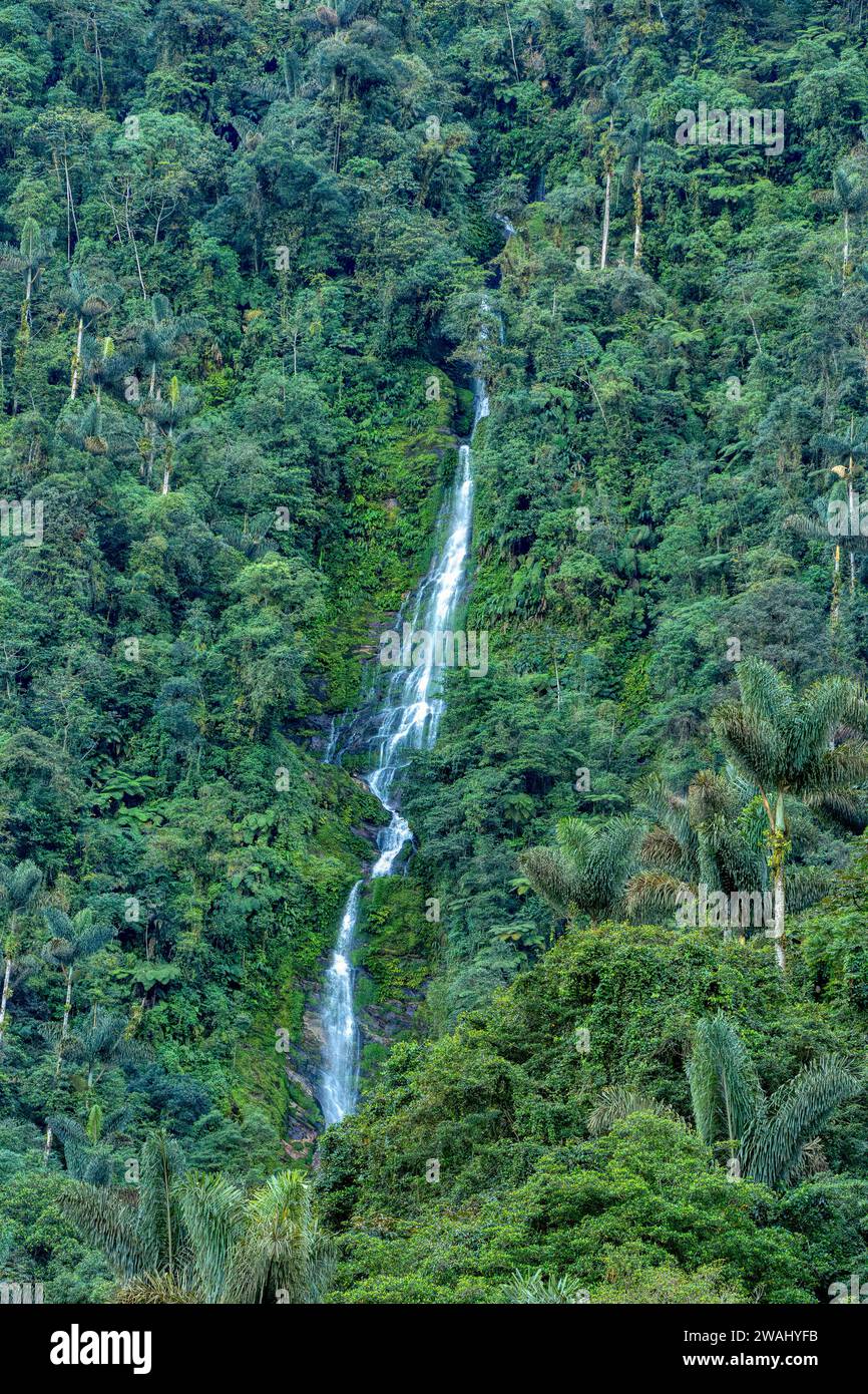 Wasserfall in Ciudad Perdida, versteckte alte Ruinen der Tayrona Zivilisation im Herzen des kolumbianischen Dschungels. Verlorene Stadt Teyuna. Santa Marta, Sier Stockfoto