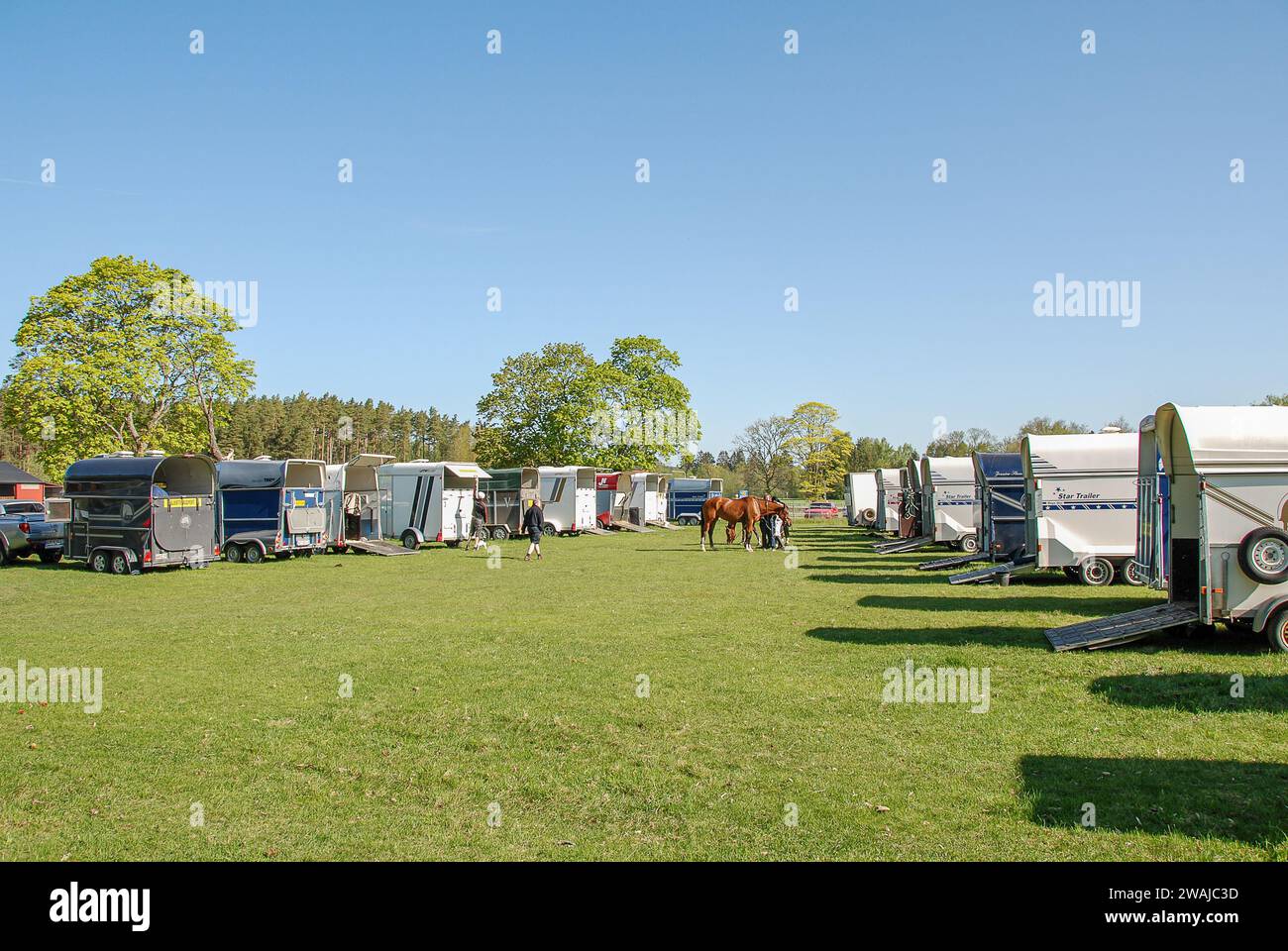 Pferdeanhänger, die im Frühjahr im schwedischen Östergötland in Verbindung mit einem Springpferd geparkt wurden Stockfoto