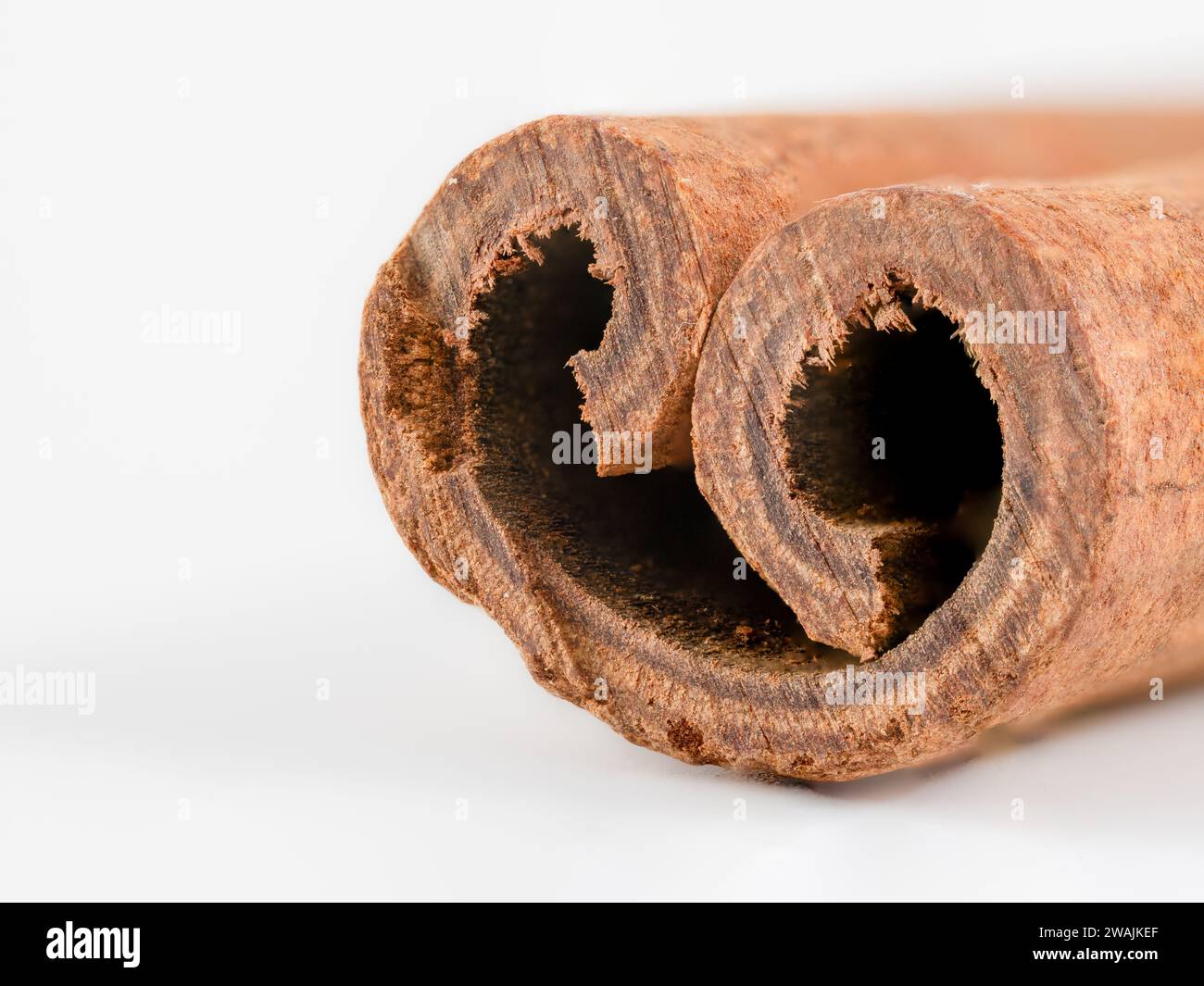 Nahaufnahme eines Makrobildes eines braunen Zimtstifts auf weißem Hintergrund Stockfoto