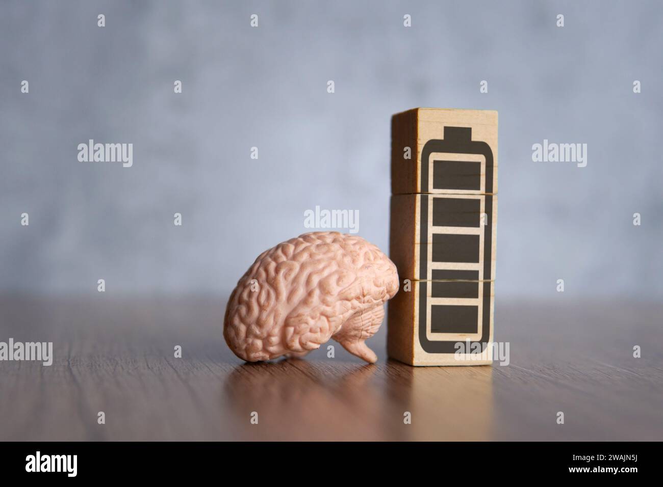 Nahaufnahme von Gehirn- und Holzblöcken mit Symbol für volle Energie-Batterie. Geisteskraft, geistiges Energiekonzept. Stockfoto
