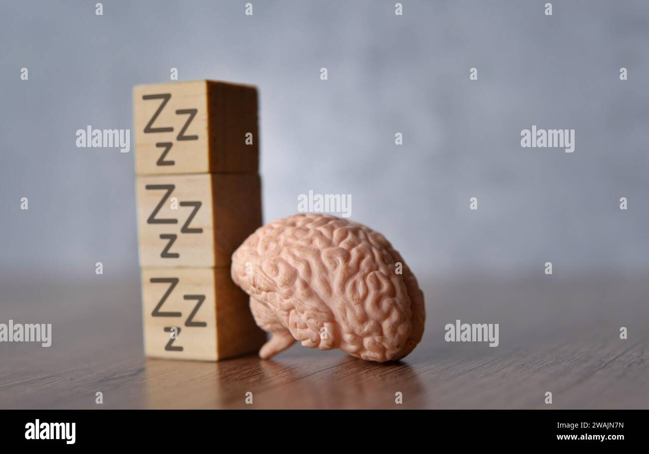 Nahaufnahme von Gehirn- und Holzwürfeln mit Schlafsymbol. Müde, Schlafkonzept. Stockfoto