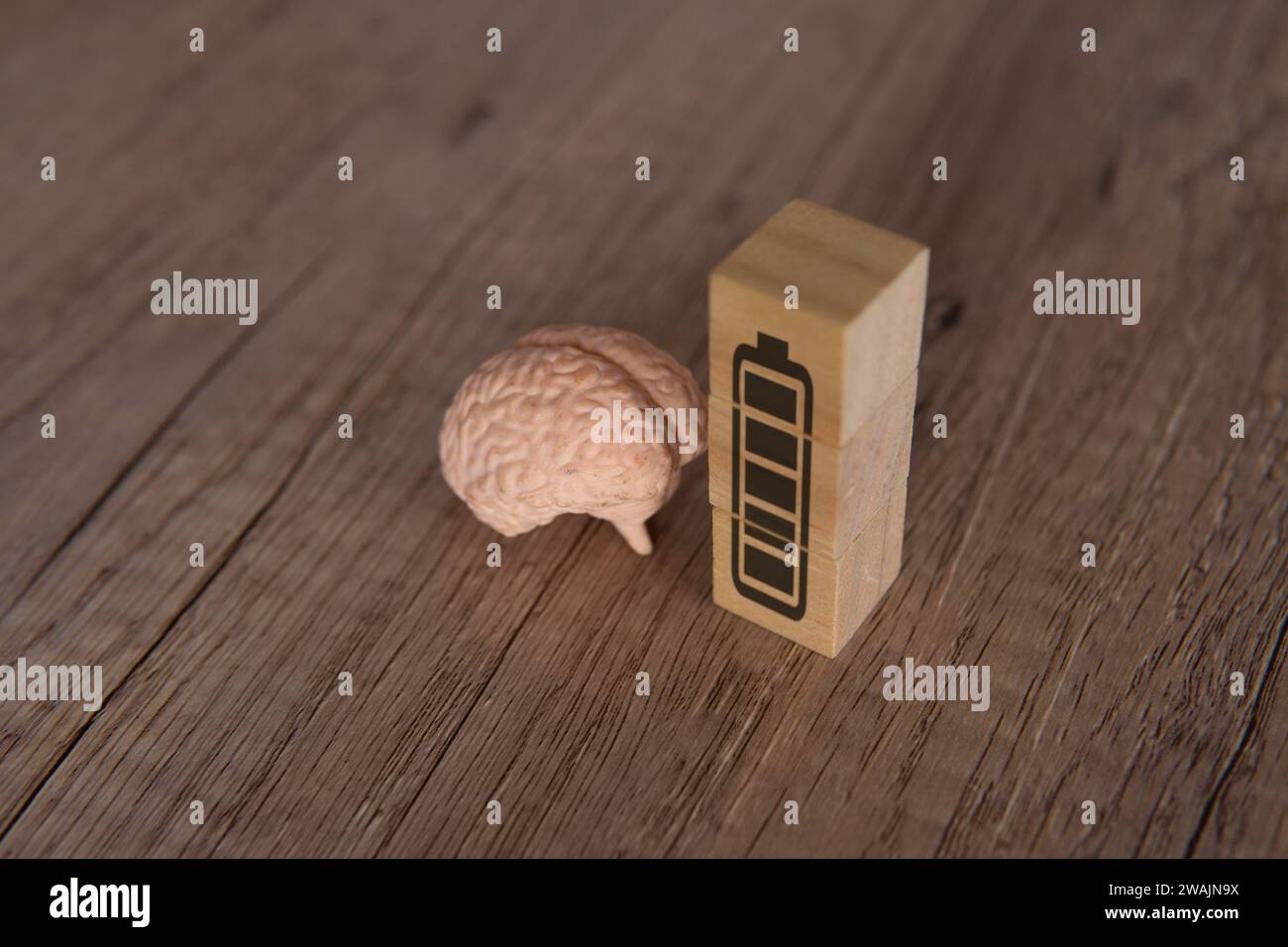 Nahaufnahme von Gehirn- und Holzblöcken mit Symbol für volle Energie-Batterie. Geisteskraft, geistiges Energiekonzept. Stockfoto