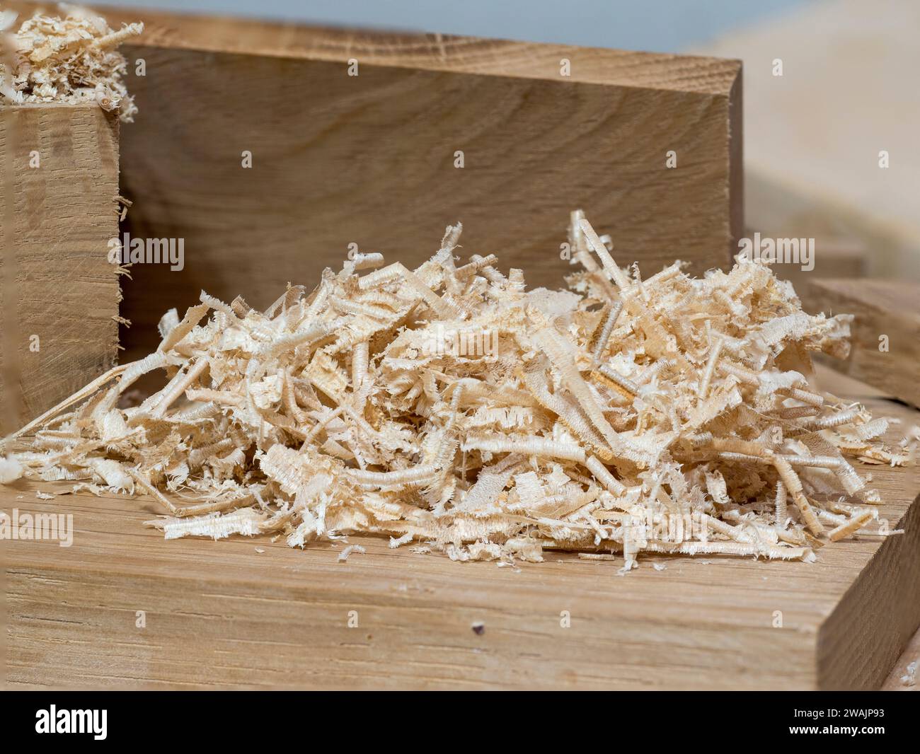 Sägemehl spreizt Abfallmaterial aus dem Hobeln eines Holzbretts, ideal für Haustiereinstreu oder Mulchboden Stockfoto