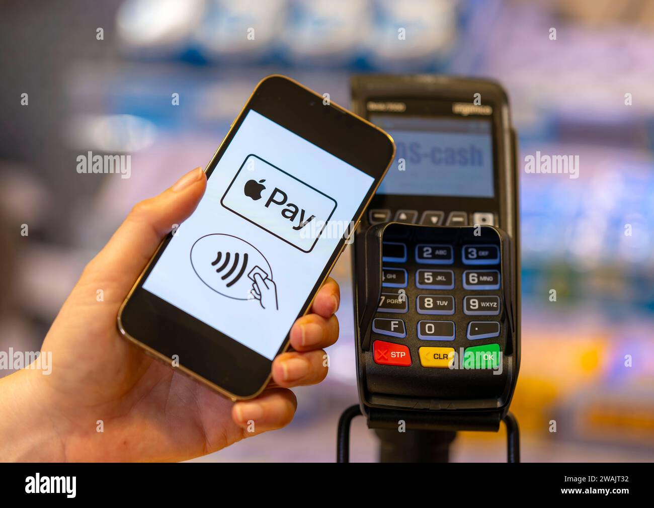 03.01.2024, Frau bezahlt mit Smartphone über hinterlegter Kredit-Karte im Geschäft. Symbolbild 03.01.2024, Kartenzahlung 03.01.2024, Kartenzahlung *** 03 01 2024, Frau bezahlt mit Smartphone mit hinterlegter Kreditkarte im Geschäft Symbolbild 03 01 2024, Kartenzahlung 03 01 2024, Kartenzahlung Stockfoto