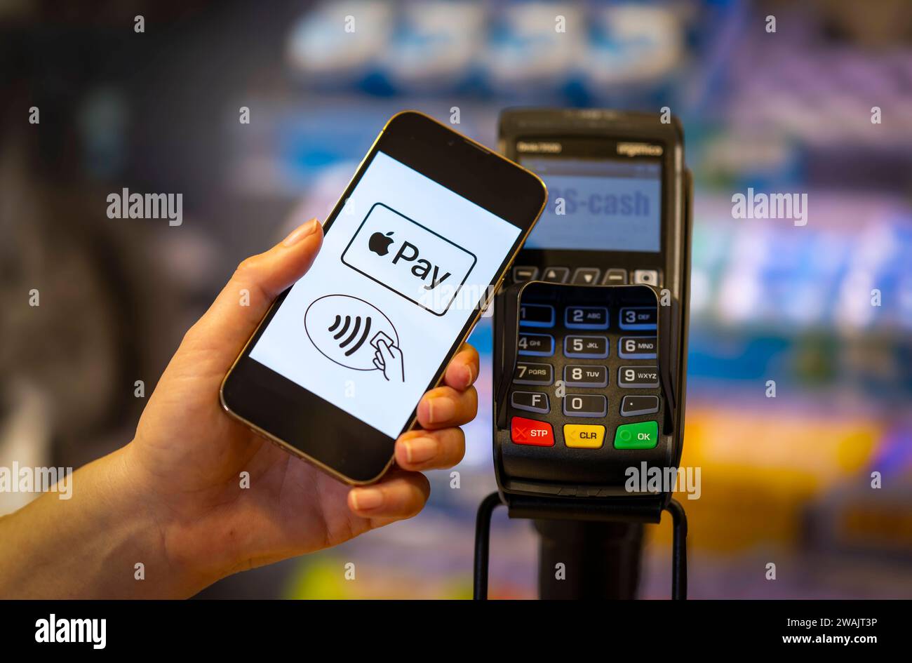 03.01.2024, Frau bezahlt mit Smartphone über hinterlegter Kredit-Karte im Geschäft. Symbolbild 03.01.2024, Kartenzahlung 03.01.2024, Kartenzahlung *** 03 01 2024, Frau bezahlt mit Smartphone mit hinterlegter Kreditkarte im Geschäft Symbolbild 03 01 2024, Kartenzahlung 03 01 2024, Kartenzahlung Stockfoto