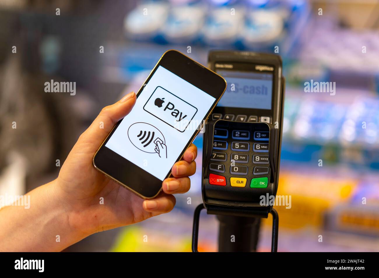 03.01.2024, Frau bezahlt mit Smartphone über hinterlegter Kredit-Karte im Geschäft. Symbolbild 03.01.2024, Kartenzahlung 03.01.2024, Kartenzahlung *** 03 01 2024, Frau bezahlt mit Smartphone mit hinterlegter Kreditkarte im Geschäft Symbolbild 03 01 2024, Kartenzahlung 03 01 2024, Kartenzahlung Stockfoto