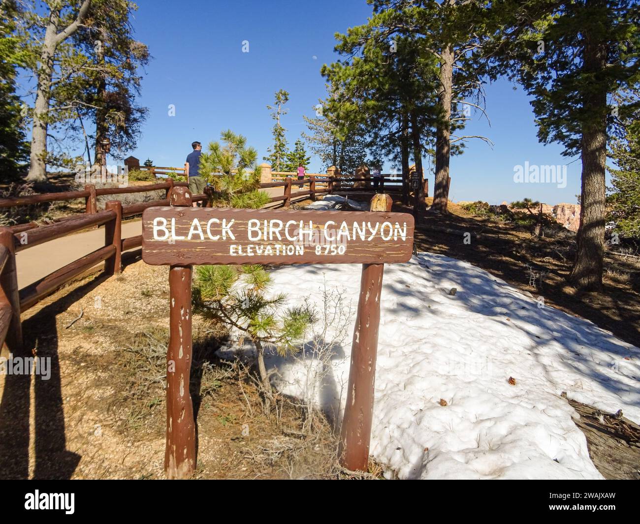 Schild mit Aussichtspunkt Black Birch Canyon im Bryce Canyon National Park, USA. Helles Frühlingstag, blauer Himmel. Schnee im Wald. Stockfoto