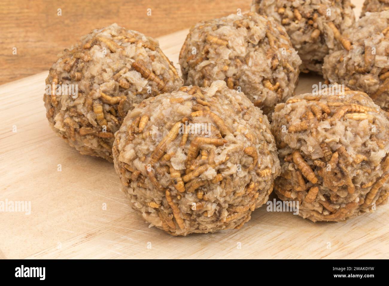 Fleischbällchen aus Mealworms/Tenebrio Molitor. Insekten werden in vielen Teilen der Welt als Nahrung gegessen und müssen nicht beängstigend sein. Siehe Hinweise Stockfoto