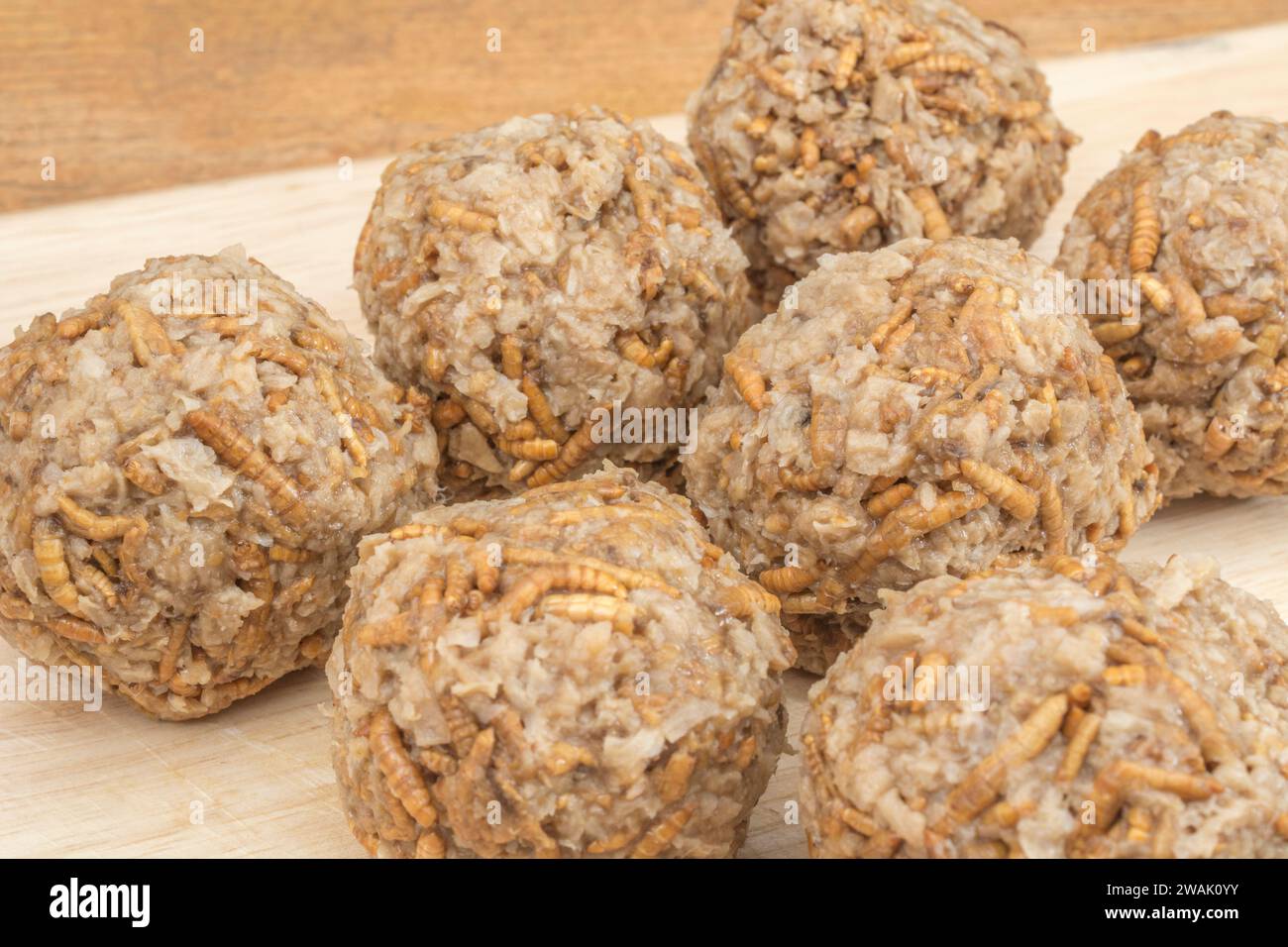 Fleischbällchen aus Mealworms/Tenebrio Molitor. Insekten werden in vielen Teilen der Welt als Nahrung gegessen und müssen nicht beängstigend sein. Siehe Hinweise Stockfoto