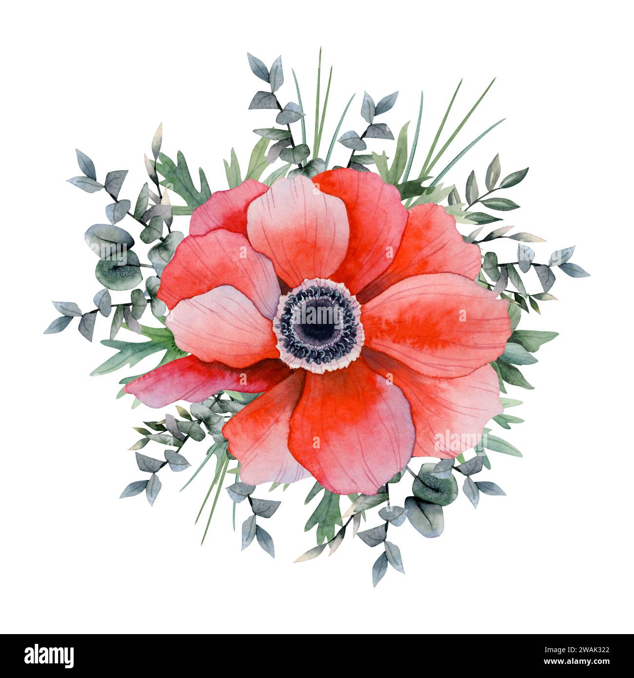 Aquarell rote Anemonenblume mit Eukalyptuszweigen und Gras Hand gezeichnete Blumen-Illustration. Feldmohn-Wildblume Stockfoto