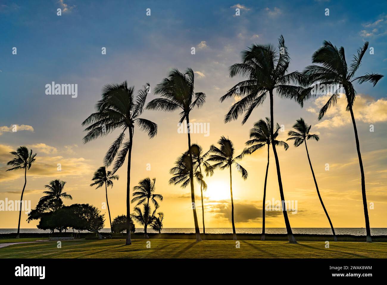 Friedliche Strandszene mit hohen Palmen, die sich vor einem glühenden Sonnenuntergang im Ko'olina Beach Park, Oahu, Hawaii, abzeichnen Stockfoto