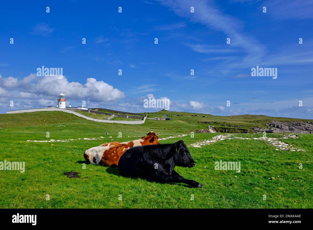 Republik Irland, County Donegal, St. John's Point Lighthouse Stockfoto