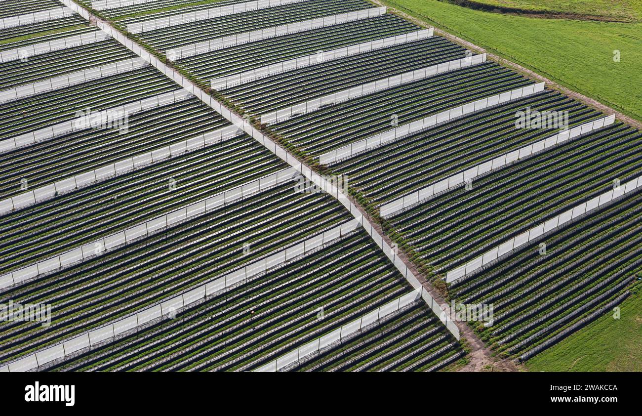 Abstraktes Foto der Landwirtschaftsausrüstung. Stockfoto