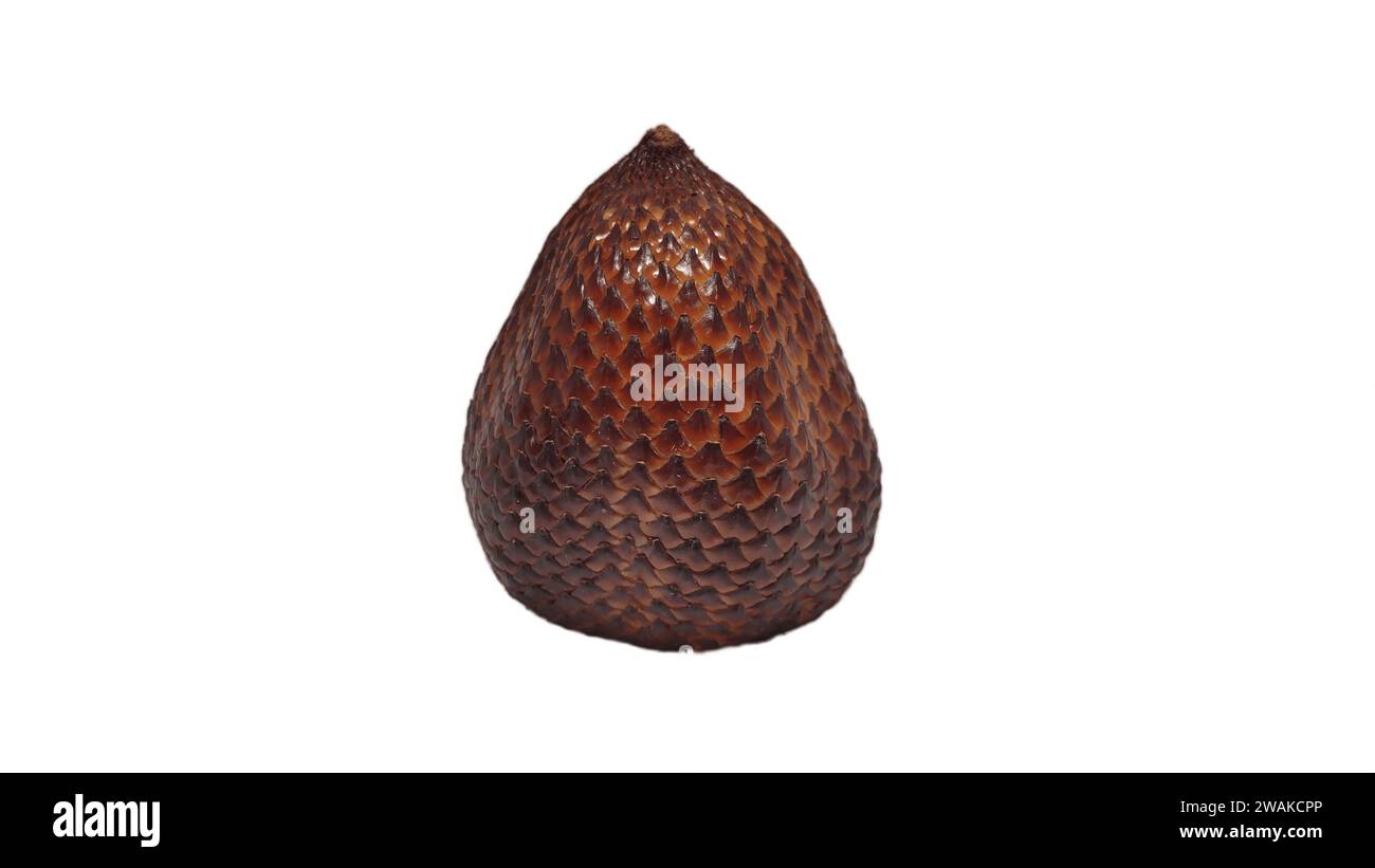 Salak oder Snakefruit isoliert mit weißem Hintergrund Stockfoto