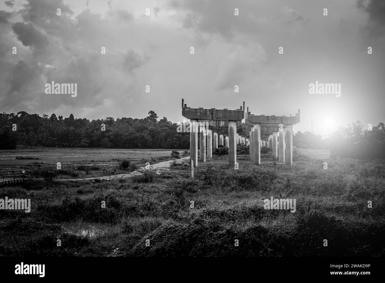 Eine verlassene Schnellstraße schwarz-weiß in Sri Lanka Stockfoto