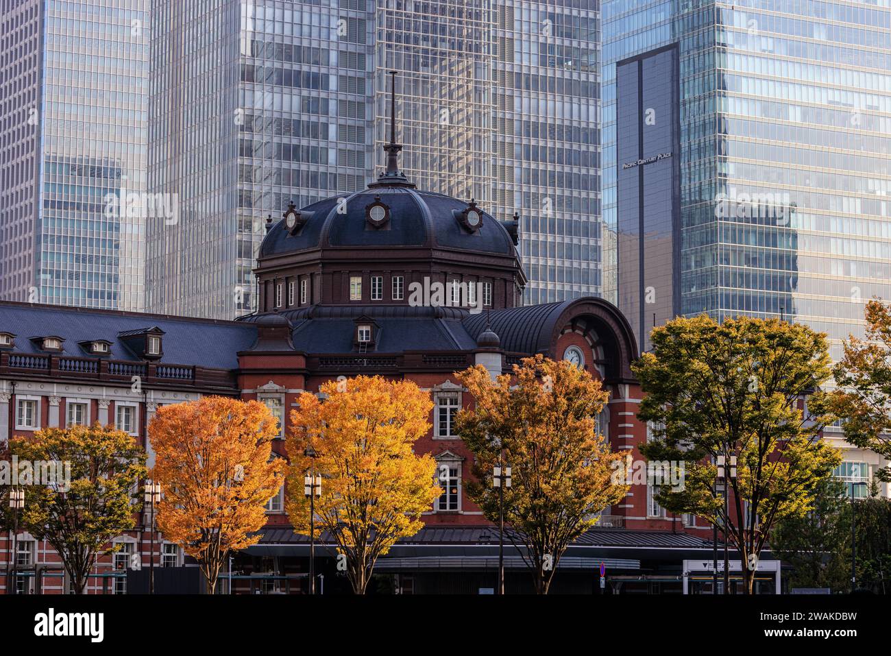 Farbenfrohes Herbstlaub auf einer Reihe von Bäumen vor der Backsteinfassade des Eingangs des marunouchi zum Bahnhof tokio Stockfoto