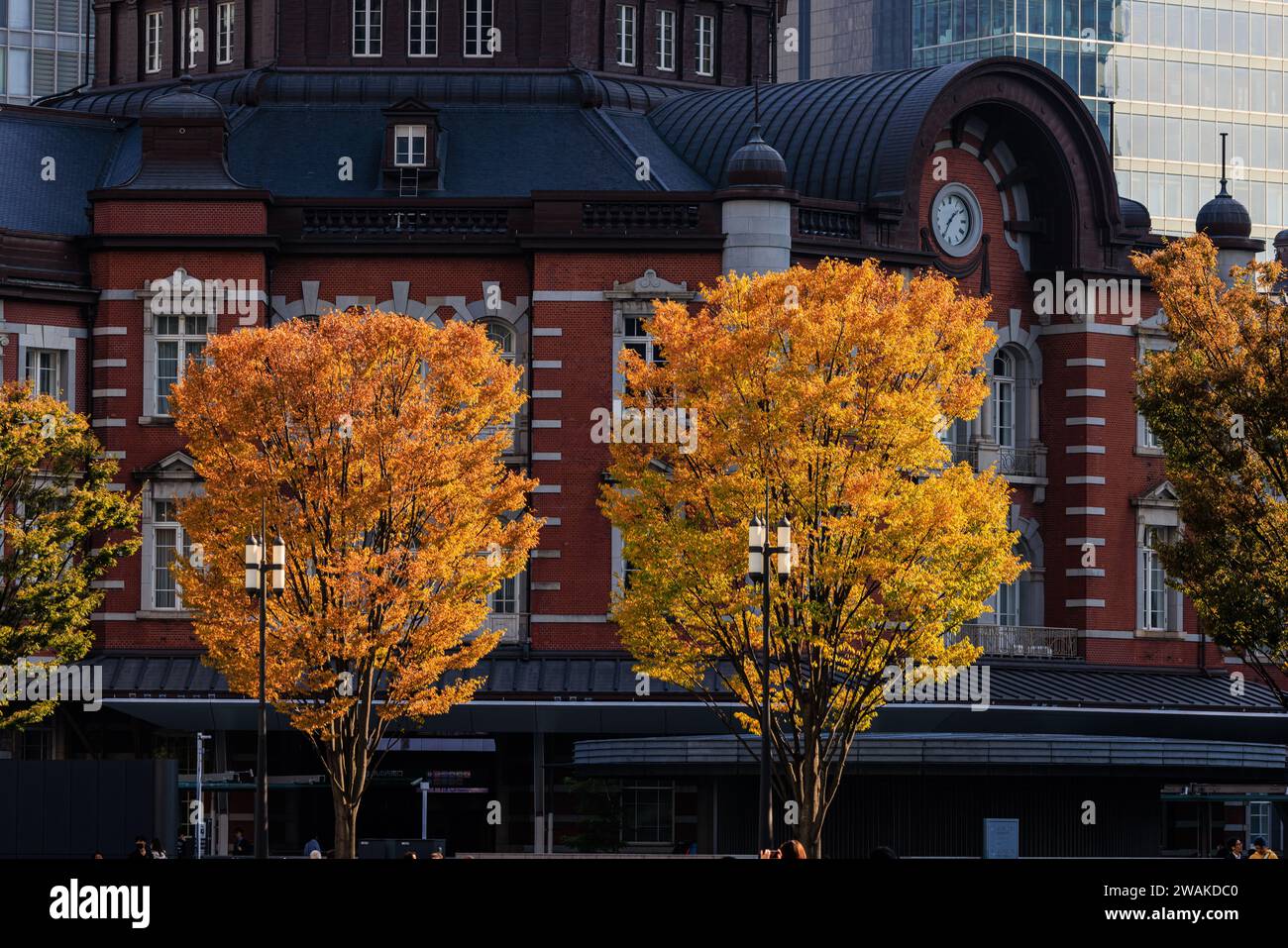 Farbenfrohes Herbstlaub auf einer Reihe von Bäumen vor der Backsteinfassade des Eingangs des marunouchi zum Bahnhof tokio Stockfoto