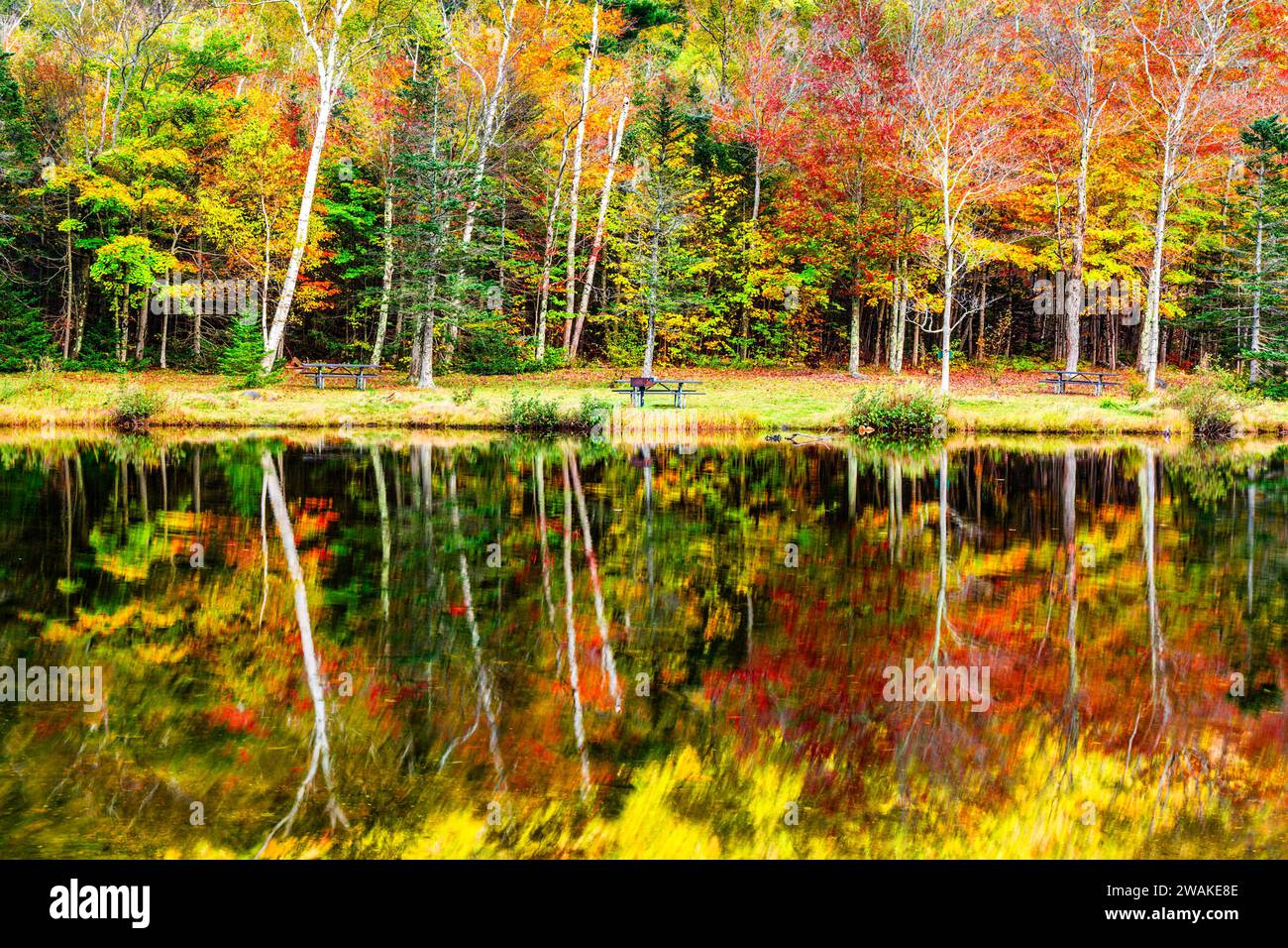 Herbstlaub in Crawford Notch, State Park, NH Stockfoto