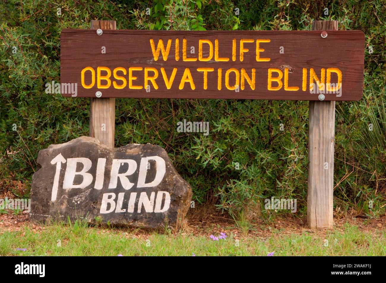 Vogel blind Schild, South Llano River State Park, Texas Stockfoto