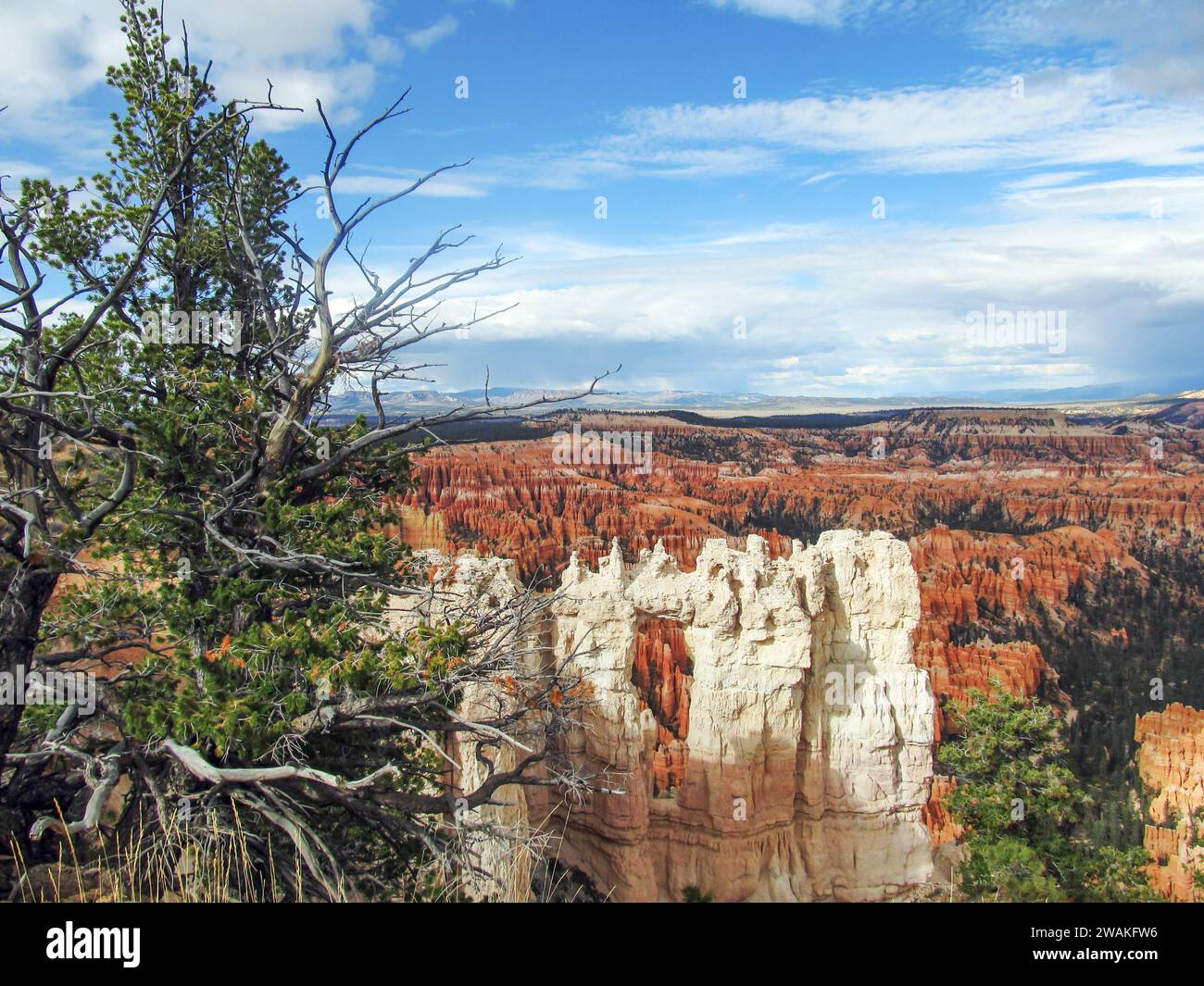 Ein heller Kalksteinbogen, beleuchtet von der Nachmittagssonne, vor der Hoodoo-Landschaft des Bryce Canyon. Stockfoto