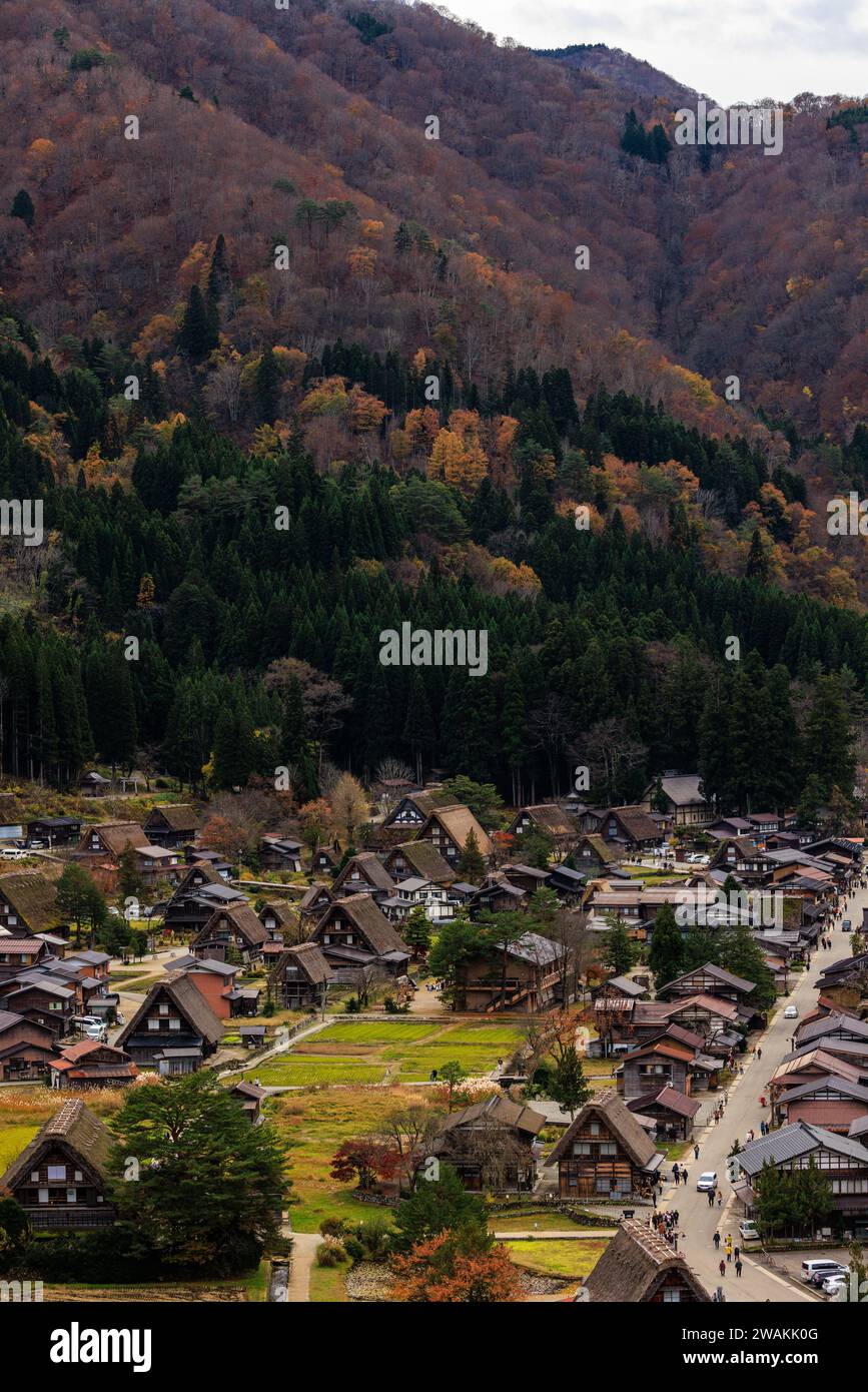 Blick von oben auf shirakawago Dorf Gassho Betenden Hände Häuser mit Strohdächern in flachem Tal unter Hügeln mit farbenfrohem Herbstlaub Stockfoto