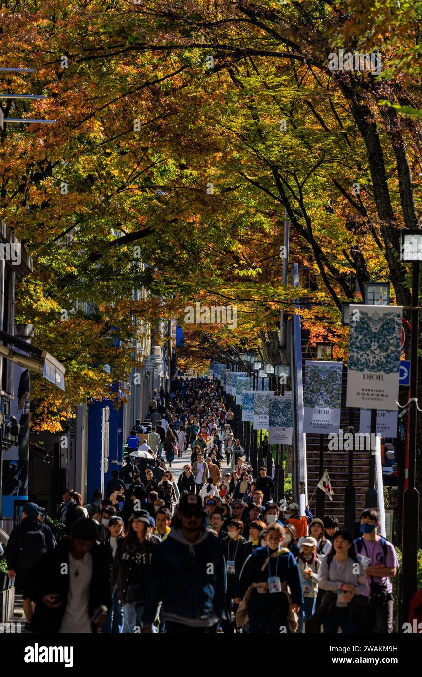 In der geschäftigen omotesando Straße unter dem farbenfrohen Herbstlaub der Ulmen können Sie in luxuriösen Boutiquen und flippigen Cafés in tokio einkaufen Stockfoto