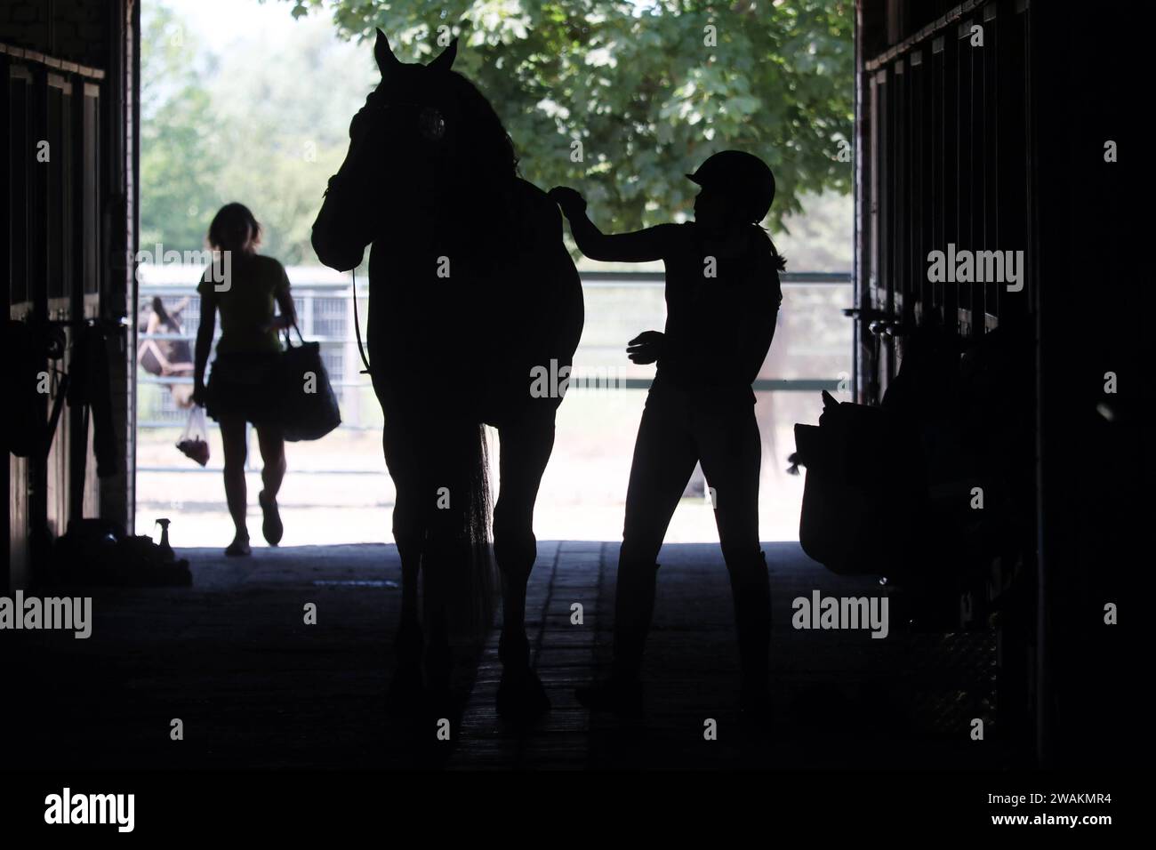 11.06.2023, Brieselang, Brandenburg, DE - Silhouette von Reiterin und Pferd auf einer Stallgasse. REIT- und Fahrverein Brieselang. Frau, Gegenlicht, Gegenlichtaufnahme, Pferd, Pferdesport, Pferdestall, Reiten, Reiterin, Reitsport, Reitstall, Schattenriss, Scherenschnitt, Silhouette, Sport, Stand, Stallgasse, Umriss, Warmblueter, Warmblut 230611D350BRIESELANG.JPG *** 11 06 2023, Brieselang, Brandenburg, GER Silhouette von Reiter und Pferd auf einer Stallspur Reit und Fahrverein Brieselang Frau, Backlight Shot, Pferd, Reitsport, Pferdestall, Reiten, Reiterin, Reitsport, Stockfoto