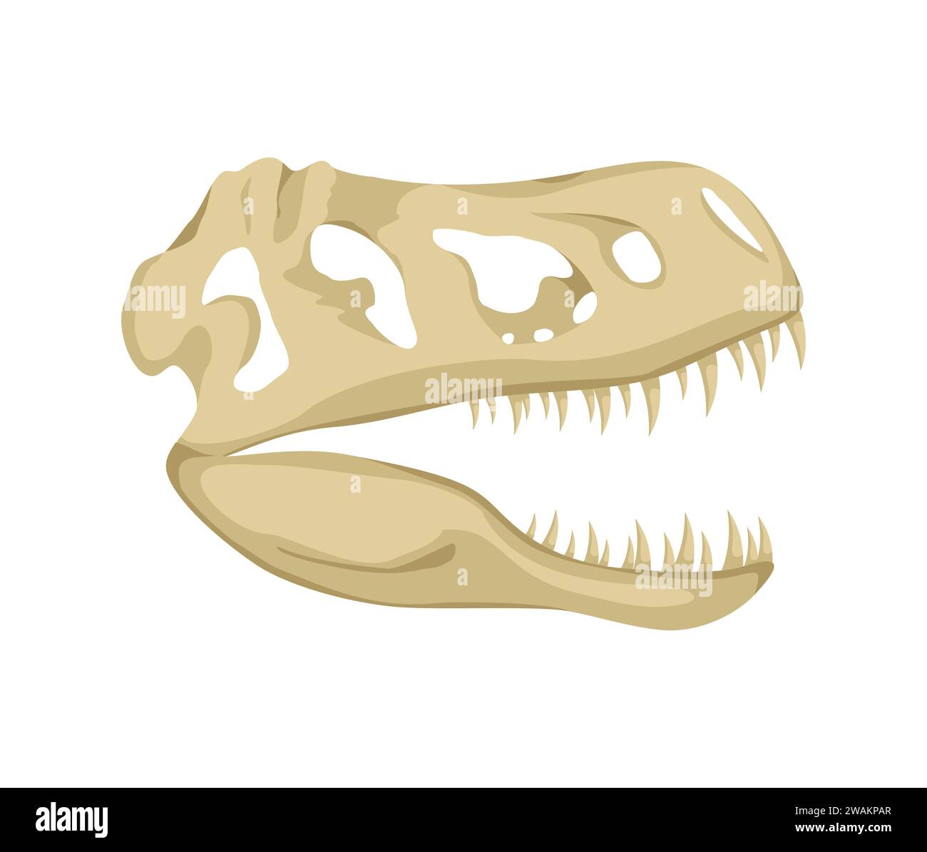 Dinosaurierschädelsymbol isoliert auf weißem Hintergrund, Tyrannosaurus Rex Kopf Fossil. Antike Überreste von Dino-Skelett, prähistorisches Reptil, Paläontologie Stock Vektor