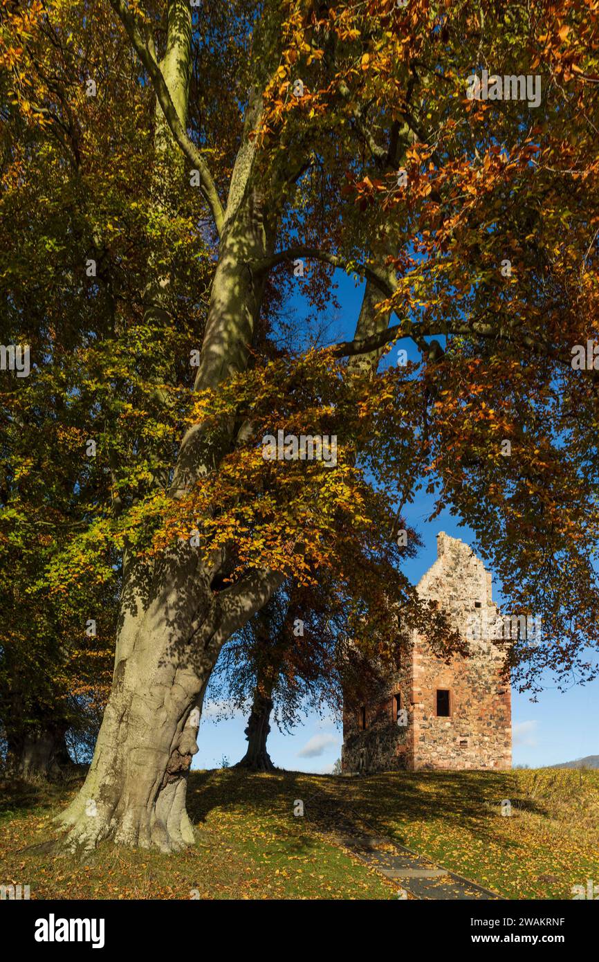 Greenknowe Tower, Gordon, Berwickshire, Scotrland Stockfoto