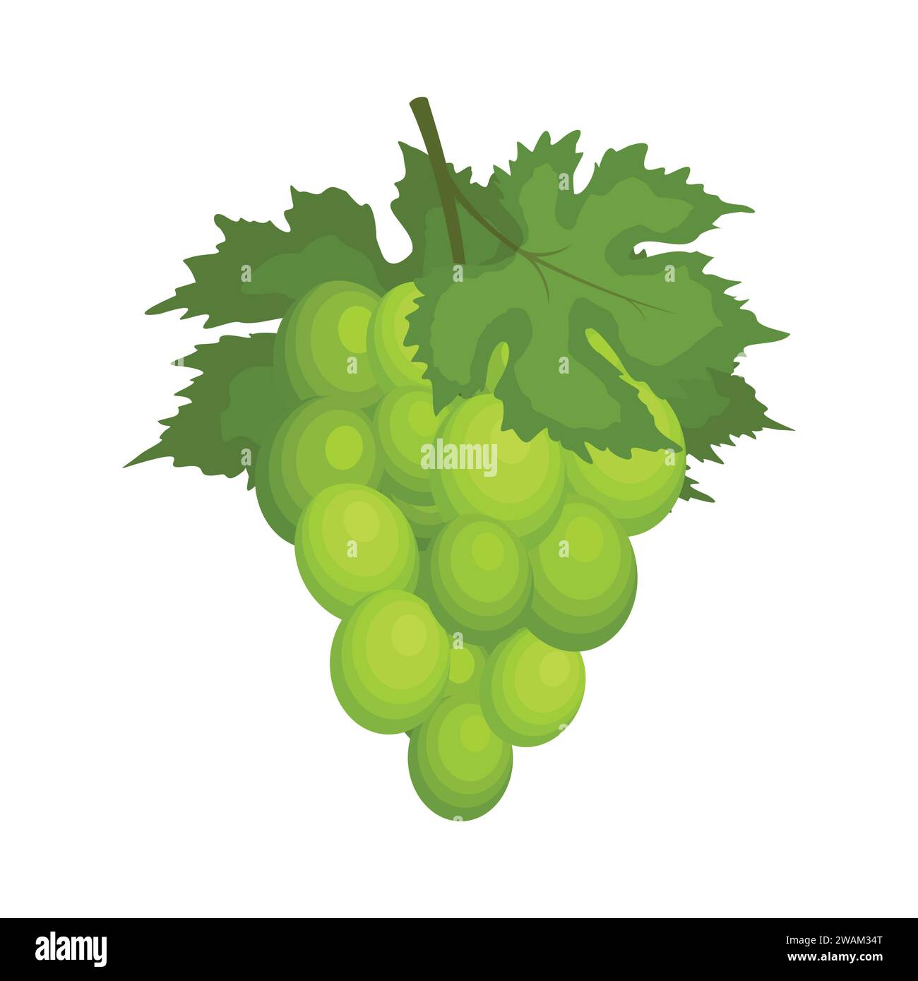 Ein paar grüne Trauben mit Blättern, die auf weißem Hintergrund isoliert sind. Traubensymbol im flachen Cartoon-Stil. Frische Beere, Rohstoffe Obst. Vektorabbildung Stock Vektor