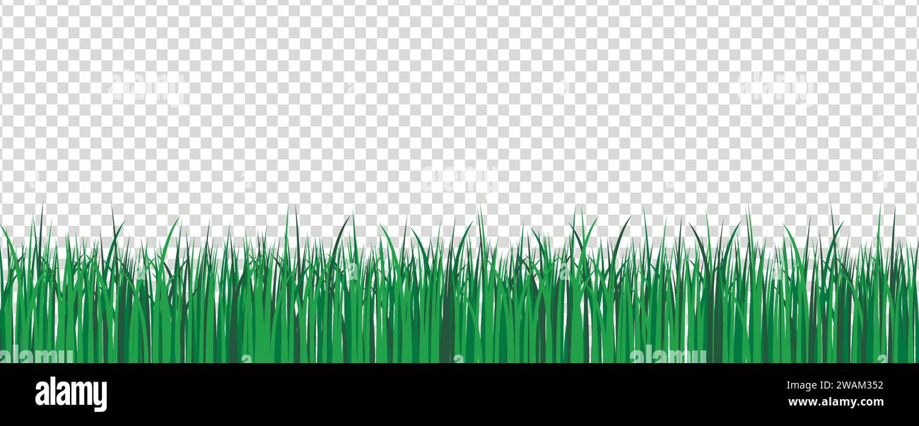 Grüner Grasrand auf transparentem Vektorhintergrund. Frühlings- oder Sommerrasen. Vektorabbildung. Stock Vektor