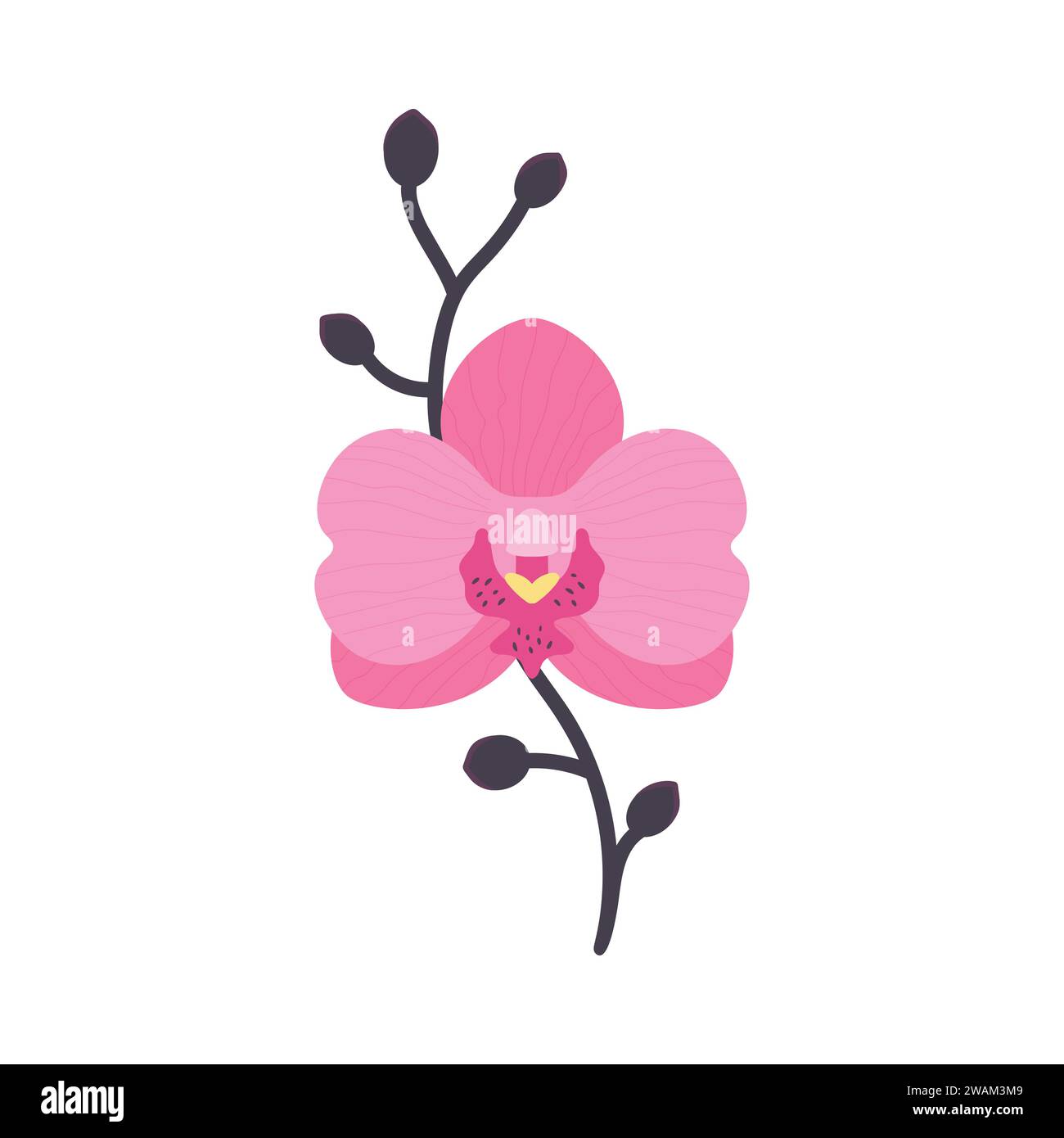 Handgezeichnete rosa Orchideenblume mit Zweig. Flacher STYLE. Vektorabbildung Stock Vektor