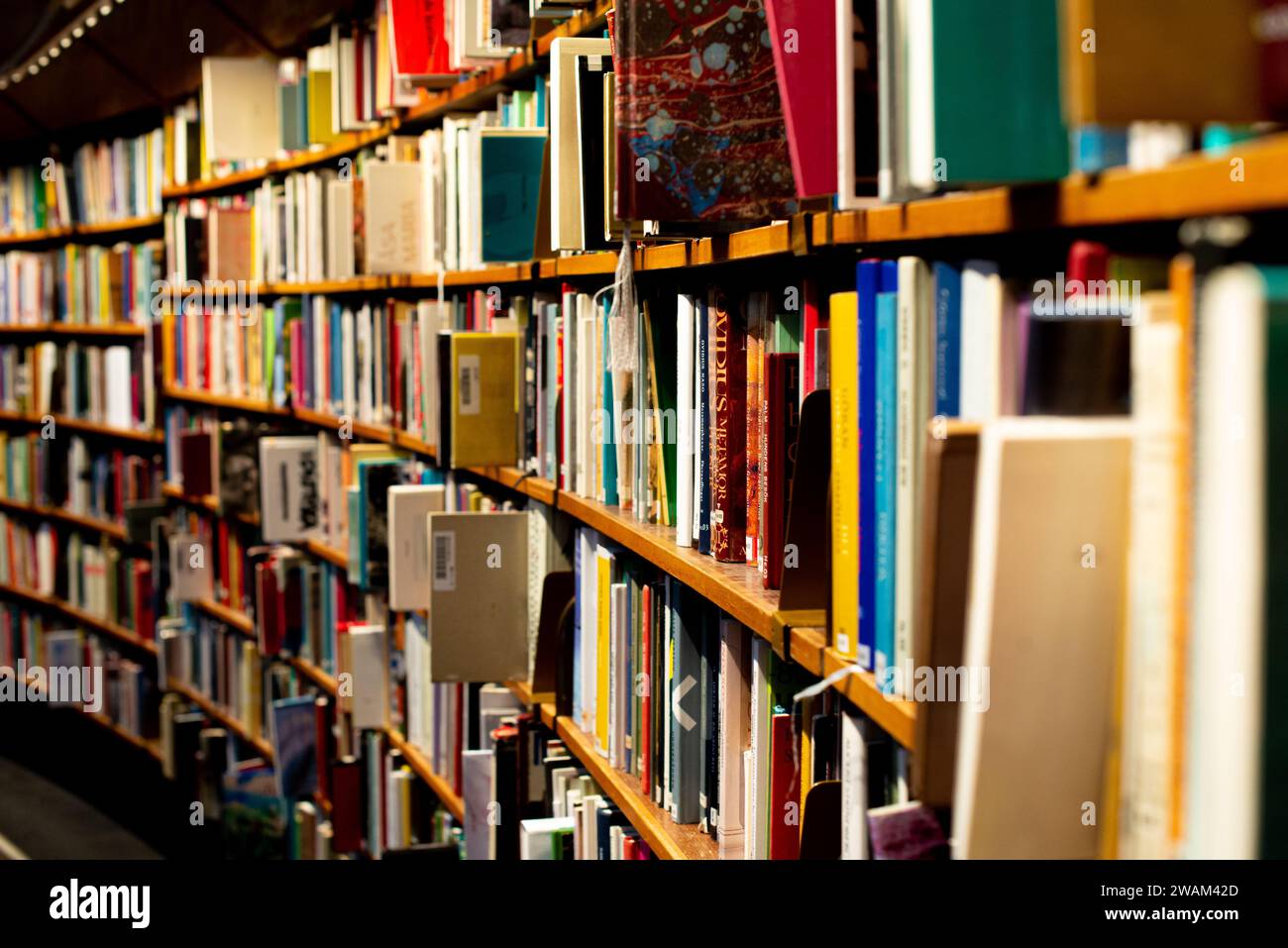 Eine lebendige Sammlung von Büchern, ordentlich in einer Bibliothek angeordnet. Stockholm Stockfoto