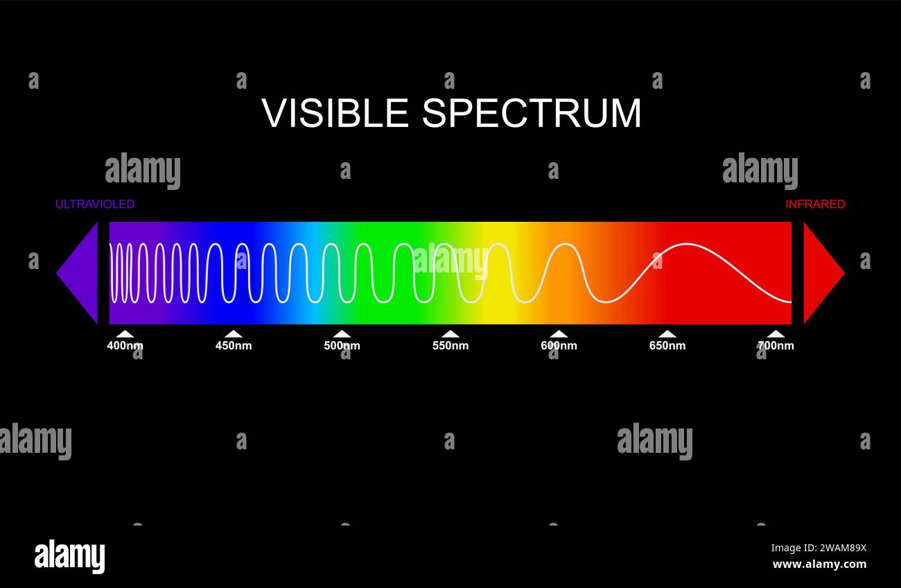 Spektrum, Diagramm für sichtbares Licht. Teil des elektromagnetischen Spektrums, der für das menschliche Auge sichtbar ist. Elektromagnetisches Farbspektrum, Lichtwelle Stock Vektor