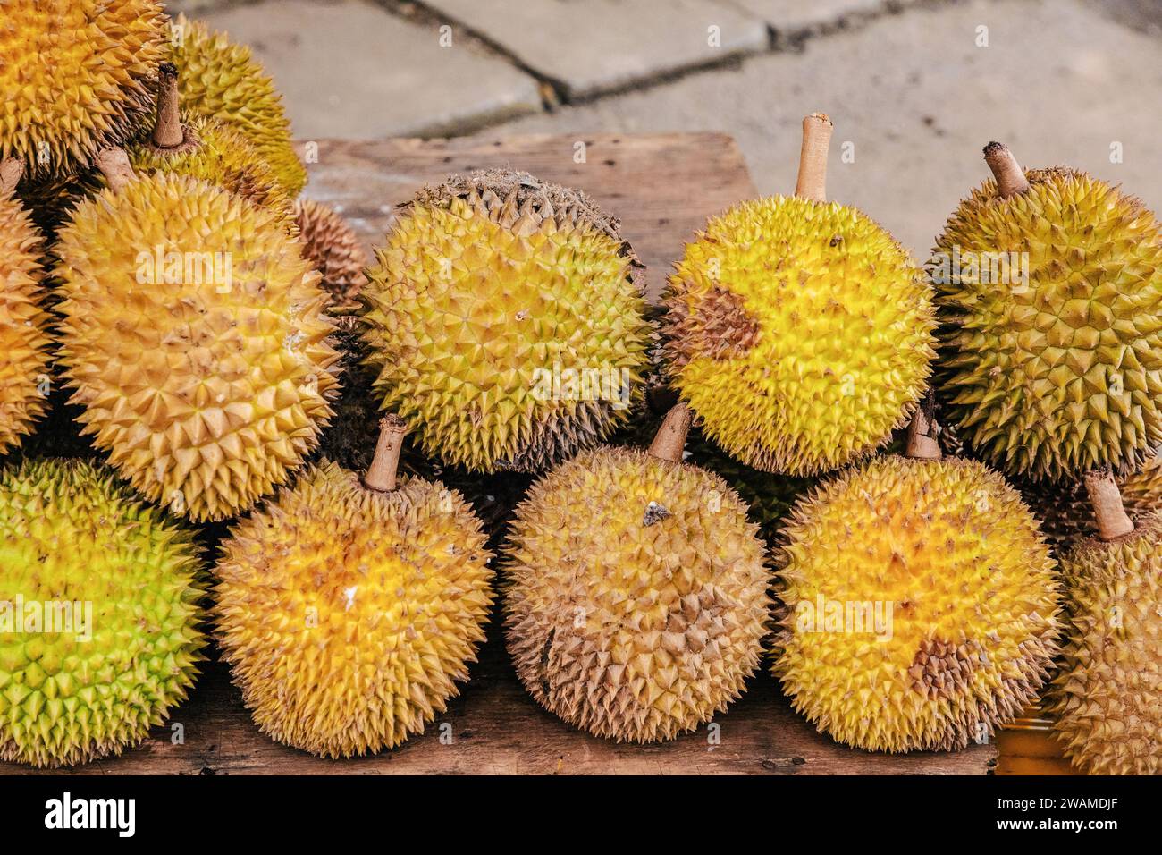 Runde reife gelbe Durianfrüchte, die auf Holztheke im Stapel gefaltet sind, zum Verkauf. Traditionelle Früchte Sri Lankas Stockfoto